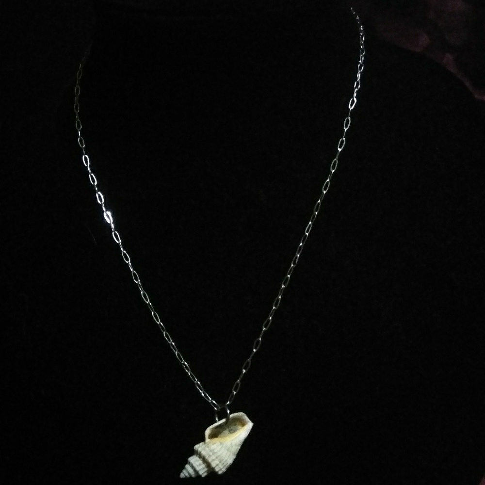 Natural Florida shell necklace in silver tone